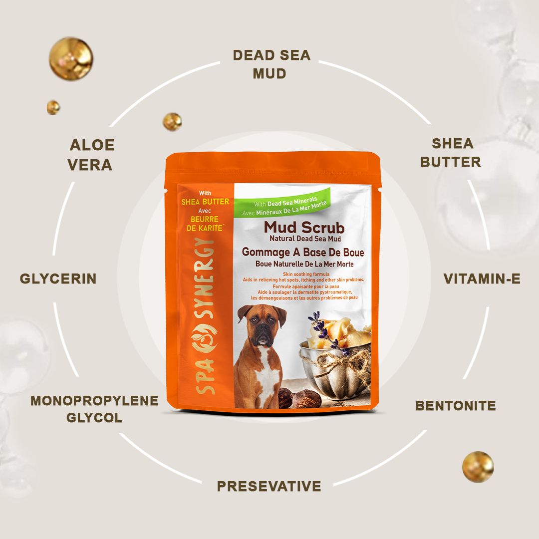 Spa Synergy Dead Sea Mud Scrub With Shea Butter