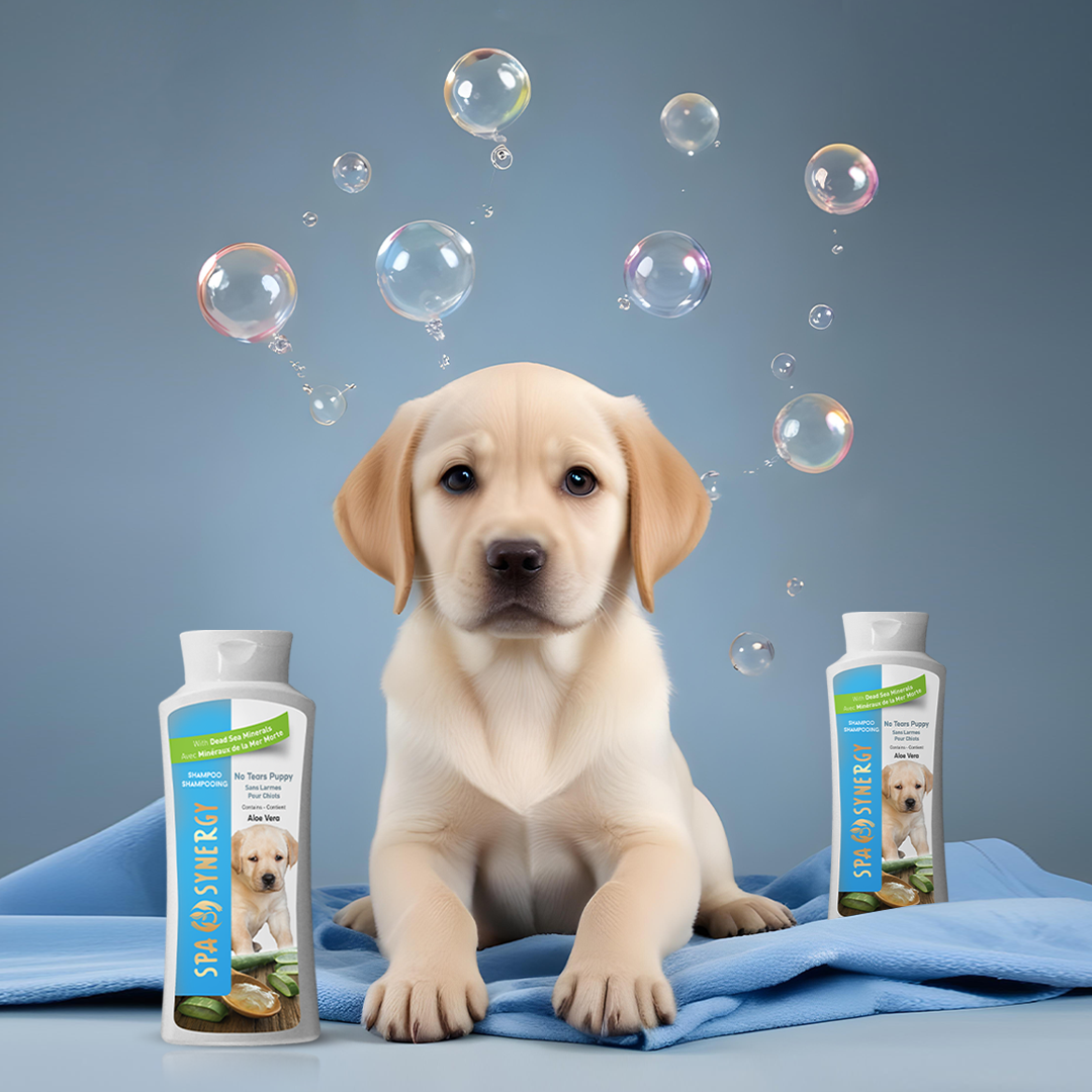 Why Dead Sea Minerals Are Amazing for Your Dog’s Skin