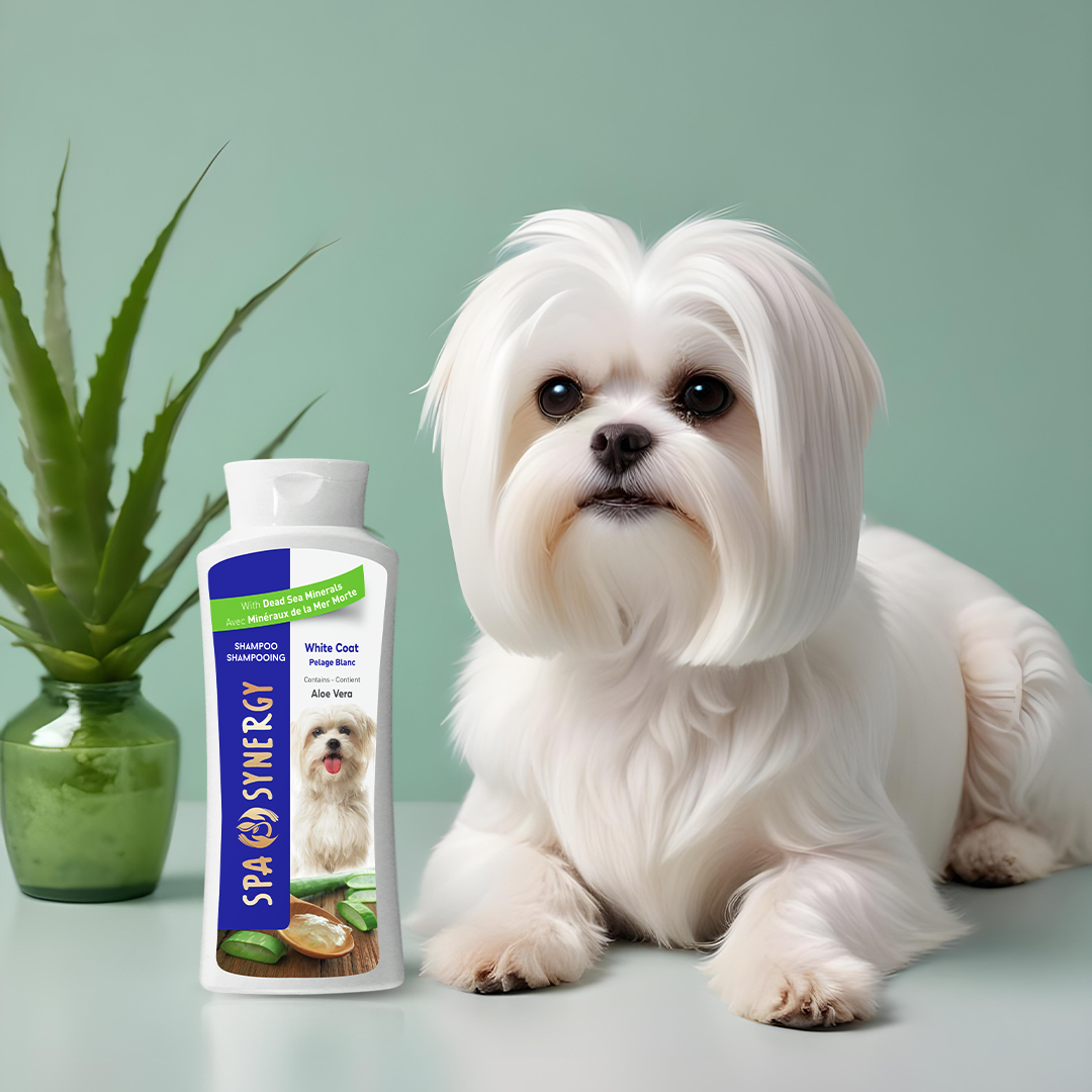 Dog Spa Day at Home: How to Pamper Your Pup Naturally